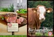 Bio-Jungrindfleisch · Zuverlssigkeit, insbesondere in Hinblick auf gesundheitliche olgen oder ertrglichkeiten. ngaben zu gesundheitlichen oder medizinischen Themen stellen keinen