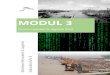 MODUL 3 - Marwilo - PDFs... · MODUL 3 Strukturwandel & digitale Welt Autoren: Dr. Michael Koch Nina Kolcan Institut für Ökonomische Bildung an der Carl von Ossietzky Universität