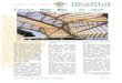 Element Holz Bau 01 2018 - Graf & Kübler GMBH & CO. KG · 2019. 5. 14. · Element – Holz – Bau das infomagazin von küblerholz Seite 3 von 8 Service: 3D Laseraufmaß Nachdem