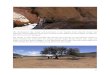 Wir durchqueren den Krater und kommmen in ein Flusstal, durch …holzerart.ch/uploads/5/7/2/0/57206735/namibia_31-40.pdf · 2017. 3. 5. · durch den deutschen Wissenschaftler Reinhard