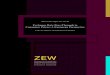 ZEWftp.zew.de/pub/zew-docs/dp/dp0220.pdf · 2002. 4. 10. · ZEW Zentrum für Europäische Wirtschaftsforschung GmbH Centre for European Economic Research Discussion Paper No. 02-20