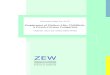 ZEWzinc.zew.de/pub/zew-docs/dp/dp0350.pdf · 2003. 10. 22. · ZEW Zentrum für Europäische Wirtschaftsforschung GmbH Centre for European Economic Research Discussion Paper No. 03-50
