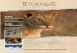 DUMA- Individualreisen DUMA- Gruppenreisen · PDF file 2020. 6. 3. · duma- Afrika Einführung Afrika Seite 8 – 9 Ein typischer Safaritag Seite 10 - 11 Private Safaris in Afrika