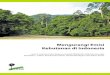 Mengurangi Emisi Kehutanan di Indonesia · • Konversi hutan harus dihentikan jika Indonesia ingin mencapai pengurangan emisi melalui sektor kehutanan. Perluasan ... di dalam biomassa