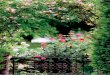 Finest Garden Travel...West Sussex – Park Opera und Gartenlust 15. – 20. Juni 2020 Opern Aufführungen im Park oder Garten lie-gen im Trend der klassischen Musikszene in England