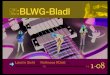 :BLWG-Bladl · 2018. 12. 3. · Erik Clapton, um nur einige zu nennen. Die Besetzung besteht aus den Sängern Carlo und Ste-fan, die auch für den richtigen Gitarrensound sorgen