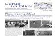 Lurup im Blick · Lurup im Blick Information und Ideen für Lurup Februar 2005 Das Luruper Forum bittet um Ihre Mithilfe: Planwagen geklaut stand Reck Spiel- ge--braucht