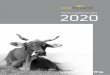 KAG Richtlinien 2020 - KAGfreiland · 2021. 1. 28. · kagfreiland tierhaltungsrichtlinien vorwort 7 1.1 grundlagen der kagfreiland-richtlinien 8 2.12. bedÜrfnisse der tiere 8 2.2