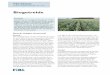Biogetreide - FiBL · 2020. 4. 8. · Getreide ist die wichtigste Kulturgruppe im Bio-landbau. Weizen und Dinkel sind die am meisten angebauten Arten in der Schweiz. Getreide ist