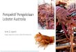 Perspektif Pengelolaan Lobster Australiasuadi.staff.ugm.ac.id/wp-content/blogs.dir/737/... · Puerulus (baby lobster) Menciptakan Pasar domestik Tidak Bermanfaat bermanfaat Visualisasi