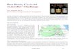 (Léoville)3 Challenge - vinifera-mundi.ch · zu welcher die grosse Mehrheit des Mikrokosmos von Bordeaux offensichtlich das Gegenteil denkt, darf die-se Politik hoch gelobt werden