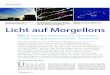 Licht auf Morgellons - Selbstheilung Online · 2020. 7. 20. · Nanopartikeln, Morgellons sowie roten und blauen Quantumdots ein globales System der Überwachung und Bewusstseinskontrolle