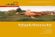 mbe 38 2014 - AMA · 2015. 5. 18. · 38. AUSGABE 2014 Marktübersicht Preisbericht Österreich Preisentwicklung ... Die von den Schlachtbetrieben erzielten Abgabepreise für Hühner