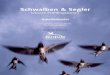 Schwalben & Segler - BirdLife4 Einleitung BirdLife Schweiz widmet sich speziell dem Schutz der Schwalben & Segler. Keine andere Vogelgruppe ist so beliebt und bekannt! Da sie in der