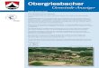 Ausgabe November 2010 - Obergriesbach...Quartal 2011 zugesagt. Am 22.01.2011 findet dafür eine Informationsveranstaltung im Gemeinschaftshaus statt. Wir hoffen auf rege Teilnahme