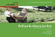 03 MB0 Juni 2013 - AMAMarktbericht der Agrar Markt Austria für den Bereich Obst und Gemüse 6. Ausgabe vom 22. Juli 2013 4 II PREISBERICHT ÖSTERREICH A) Obst - Berichtszeitraum: