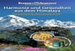 Harmonie und Gesundheit aus dem Himalaya - Everest Ayurveda · 2020. 10. 28. · Die Ayurveda stellt das älteste umfassende Medizinsystem dar, das die Grundlagen einer gesunden Lebensweise