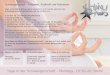 Schwangerschaft - Gelassen, Kraftvoll und Fokussiert · Schwangerschaft - Gelassen, Kraftvoll und Fokussiert Yoga unterstützt Schwangere körperlich und mental während der Schwangerschaft