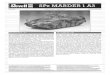 Scalemates · 2017. 12. 28. · SPz MARDER 1 A3 SPz MARDER 1 ©2011 BY REVELL GmbH & co. KG SPz MARDER 1 A3 PRINTED N GERMANY Nach erfolgreichem Abschluss der Erprobung ab 1970 erhielt