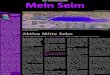 Das Stadtmagazin Mein Selm · 2015. 11. 25. · Das Stadtmagazin Liebe Leserin, lieber Leser, nach einer längeren Pau-se erscheint wieder eine Ausgabe des Magazins „Mein Selm“