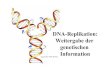 DNA-Replikation: Weitergabe der genetischen Information · 2019. 3. 7. · DNA-Replikation Die enzymatische Polymerisierung von dNTPs in Einzelschritten: • Korrekte Bindung der