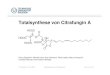 Totalsynthese von Citrafungin A - TU Dresden...1. Einführung 2. Biochemische Wirkungsweise 3. Retrosynthese 4. Synthese des Dioxolanon (Evans -Aldol -Reaktion) Inhaltsverzeichnis
