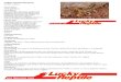 Gelber Maurenskorpion Scorpio maurushoch-rep.reptilien-scout.com/.../Scorpio-maurus.pdf · 2018. 11. 16. · ein Service von ein Service von Gelber Maurenskorpion Scorpio maurus Schutzstatus