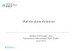 The Automated Haematology Analyzer · PDF file

–