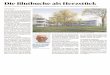 Ausgabe 'Aargau Frick', 11.05.2019, Seite 32 - Rinau Park · 2020. 1. 31. · VISUALISIERUNG/ZVG «Es war ein wichtiges Kriterium, das mög- lichst viel vom Park erhalten bleibt.»