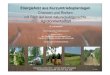 Energieholz aus Kurzumtriebsplantagen - BfN · 2008. 9. 29. · Energieholz aus Kurzumtriebsplantagen Chancen und Risiken mit Blick auf eine naturschutzgerechte Agroforstwirtschaft