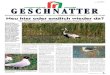 Österreichs sechsundfünfzigste nationalparkzeitung 7142 illmitz, … · 2017. 11. 21. · Von Heimkehrern, einwanderern und eingeschleppten arten immer wieder erreichen tierarten