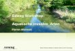 Eawag Workshop: Aquatische invasive Arten · 2015. 5. 12. · Altermatt 2012 . Mat Seymour . Roman Alther . G. roeseli . Aquatische invasive Arten . Entwickeln von neuen MonitoringMethoden