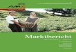 10 MB0 Oktober 2013 - AMAMarktbericht der Agrar Markt Austria für den Bereich Obst und Gemüse 10. Ausgabe vom 03. Dezember 2013 6 D) Obst - Berichtszeitraum: 1. Oktober bis 31. Oktober