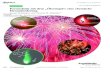 Pyrotechnik mit dem 'Ökosiegel': eine chemische Herausforderungpyrobin.com/files/Pyrotechnik4_1.pdf · 2020. 6. 16. · knnenbereineVernderungderSauerstoffbilanz,alsodes VerhltnissesvonReduktionsmittelzuOxidationsmittel,in