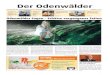 Der Odenwalder - voba-online.de · 2017. 8. 26. · wirft ein unheimliches Licht auf die klei-nen Wasserläufe inmitten eines imposan-ten Moosteppichs. Einsam und still ist es hier,