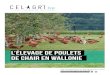 L’élevage de poulets de chair en Wallonie - Celagri · alimentation sans OGM, 100 % végétal et surtout composée de céréales et de matières premières protéagineuses elles-mêmes