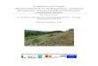 Endbericht zum Projekt - univie.ac.at · 2017. 2. 8. · Foto: B. Dillinger . Serpentinstandorte im Burgenland Fachbereich Botanik 5 „Exkursionsflora“ (FISCHER, ADLER, OSWALD