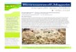 Biowasserstoff-Magazinbiowasserstoff-magazin.richey-web.de/pdf/Magazin_2008_5.pdf · Biowasserstoff-Magazin Themen in dieser Ausgabe: ... ten Jahren das von der Universit‡t Kassel