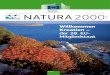 Willkommen Kroatien – der 28. EU- Mitgliedstaatec.europa.eu/environment/nature/info/pubs/docs/nat2000... · 2015. 11. 11. · Willkommen Kroatien – der 28. EU- Mitgliedstaat NATURA2000Nummer