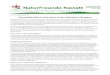 NaturFreunde Rastatt Umweltdetektive · 2017. 2. 11. · NaturFreunde Rastatt Umweltdetektive Jahresbericht 2016 10.11.2016 Verband für Umweltschutz, sanften Tourismus, Sport und