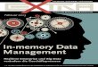 Information und Bildungsarbeit von und für die SAP - In ...6 E-3 Februar 2013 In-memory Data Management ist heute der BW-A und in Zukunft SAP Hana optimal. Erfahrungsgemäß ab einem