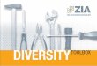 zia diversity booklet entwurf · 2019. 4. 2. · Klein-/mittelständische Unternehmen Großunternehmen 27. Gewinnspiele oder Wettbewerbe UMSETZUNG Öffentlichkeitswirksame Ak-tionen