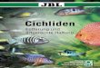 Cichlidenthommys-zooladen.de/inc/tinymce_files/Downloads/JBL...11 Die Fischstation von Stuart Grant († 2007) ist die traditi-onsreichste und größte am ganzen Malawisee. Von hier