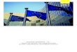 SOCIETAS EUROPAEA – SE – PRAXISLEITFADEN ZUR ......2 Bereits 2004 hat der deutsche Gesetzgeber die europäische Aktiengesellschaft (abgekürzt „SE“ für Societas Europaea)