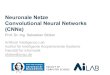 Neuronale Netze ConvolutionalNeuralNetworks (CNNs)2019/... · 2019. 5. 8. · Neuronale Netze ConvolutionalNeuralNetworks (CNNs) Prof. Dr.-Ing. Sebastian Stober ArtificialIntelligenceLab