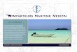 Schiffsarztbörse - Kompaktkurs Maritime Medizin · 2017. 11. 14. · 5. Juristische Aspekte und administrative Aufgaben des Schiffsarzt 5.1 Internationales Versicherungsrecht - Frenzel