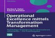 Operational Excellence mittels Transformation Management: Nachhaltige Ver¤nderung im Unternehmen sicherstellen â€“ Ein Praxisratgeber