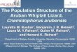 The Population Structure of the Aruban Whiptail Lizard