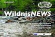 Wildnis · 2020. 9. 7. · zum Geschehen in der Wildnis dazu gehören, so waren diese auch für die Verwaltung des Wildnisgebietes von un-erwartetem und überraschendem Aus-maß