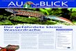 Au-Blick, Ausgabe Nr. 42, Saison 2018 AU -BLICK · 2018. 4. 12. · Au-Blick, Ausgabe Nr. 42, Saison 2018 2 nachwievor bedeutende Vorkommen, aller-dings sind sie auch hier im Rückgang